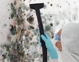 Mold Removal for HVAC Installations in Mathis, TX